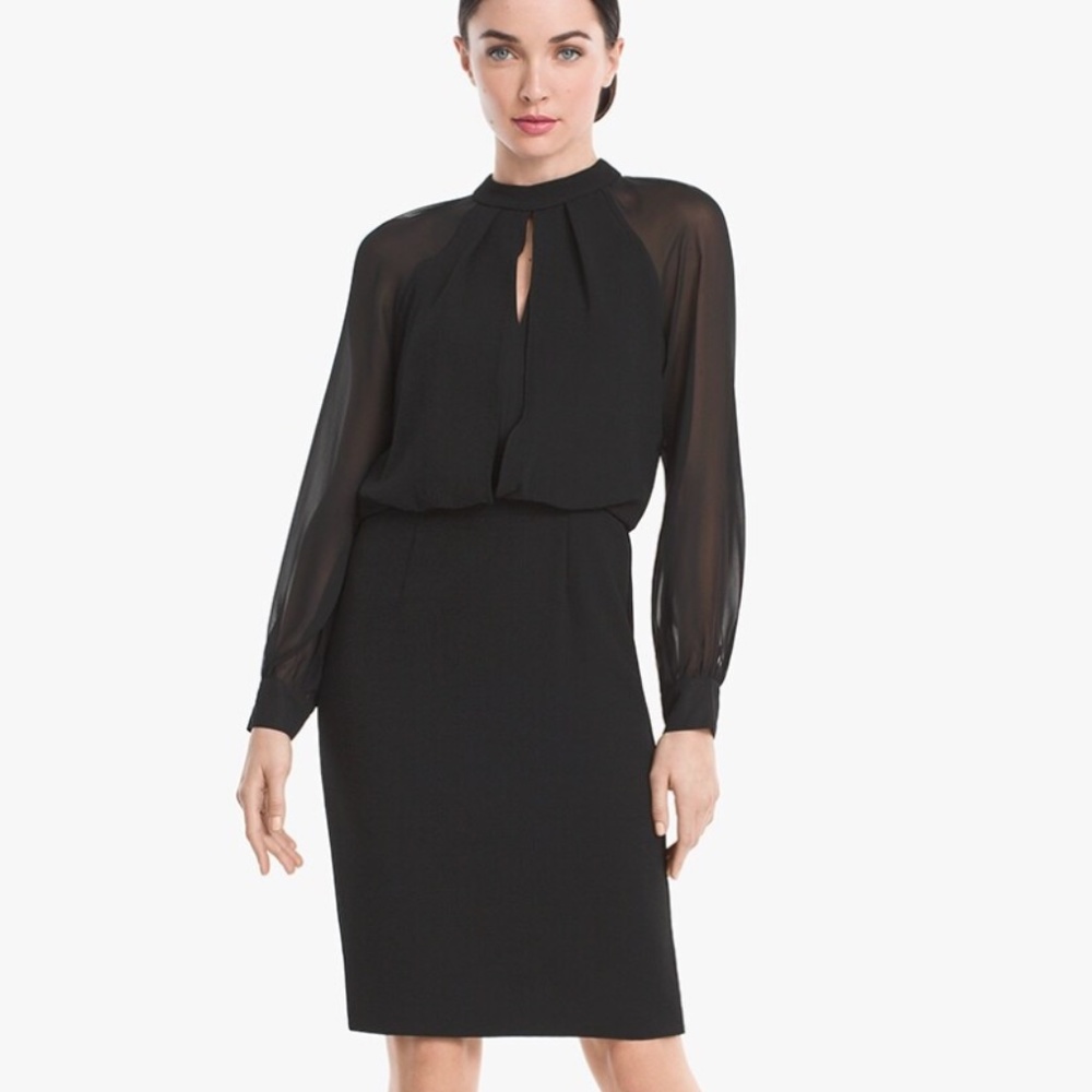 Adrianna Papell Sheer-Sleeve Blouson Dress, Size 6